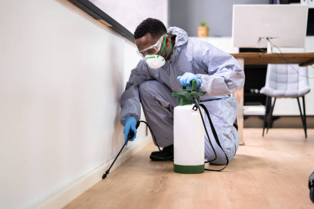 Best Fumigation Services  in Providence, KY